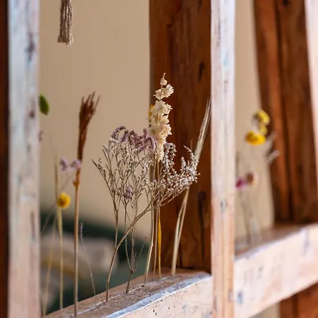 Naturlodge Eichgarden - Eco - Sauna - Bio-hof Grossbarkau