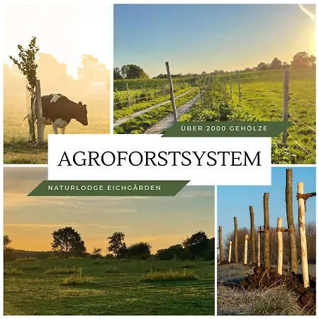 Naturlodge Eichgarden - Eco - Sauna - Bio-hof Dom wakacyjny Grossbarkau