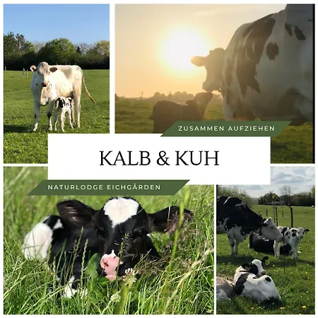 Naturlodge Eichgarden - Eco - Sauna - Bio-hof