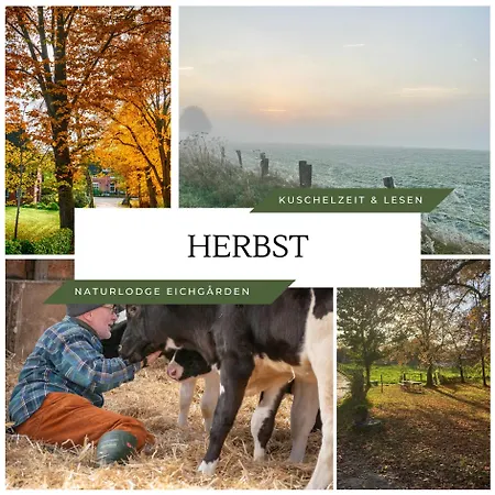 Naturlodge Eichgarden - Eco - Sauna - Bio-hof Dom wakacyjny