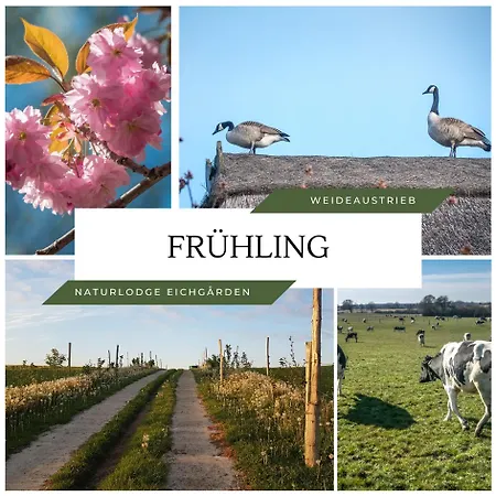 Naturlodge Eichgården - Eco - Sauna - Bio-hof Ferienhaus *