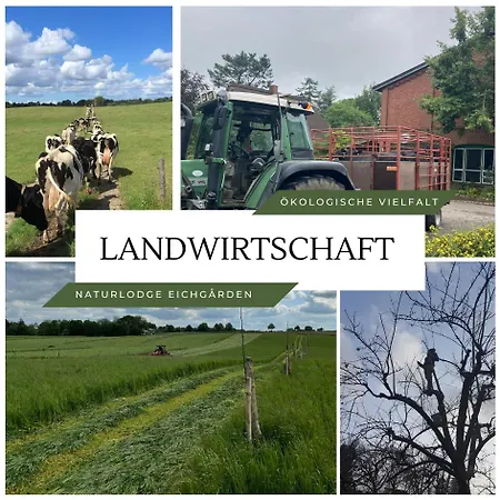 Ferienhaus Naturlodge Eichgården - Eco - Sauna - Bio-hof Grossbarkau