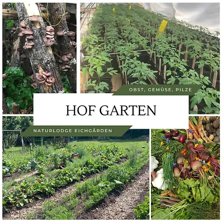 Ferienhaus Naturlodge Eichgården - Eco - Sauna - Bio-hof *